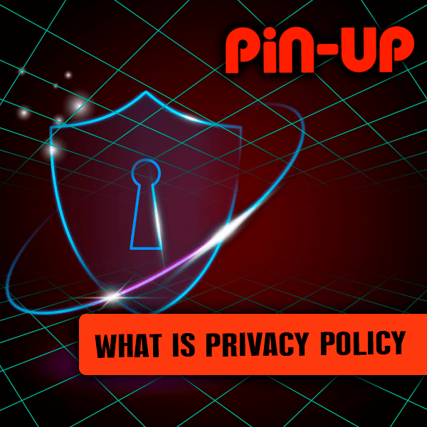 What constitutes a privacy policy